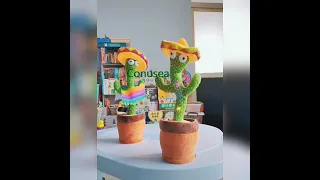 Dancing cactus 🌵 | Танцующий кактус #shorts