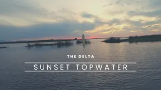 CA Delta Bass Fishing... Sunset Topwater bite! 2nd week of July