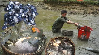 Fish ponds are well developed, exploiting large volumes of fish to sell to traders and markets 174