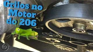 Barulho de Grilo no Motor do Peugeot 206 😡