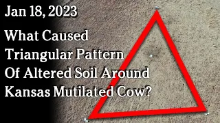 Jan 18 - What Caused Triangular Pattern Of Altered Soil Around Kansas Mutilated Cow?