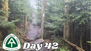 Day 42 | Bailing Off Roan Mountain | 2024 Appalachian Trail Thru Hike