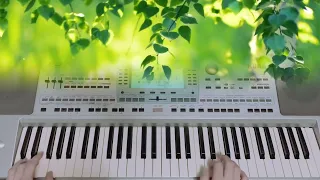 Белая берёза Korg pa 50