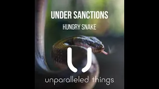 Under Sanctions - Hungry Snake / Radio Edit [Unparalleled Things]