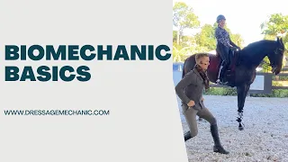 How to improve straightness, impulsion, and seat in your dressage horse through rider biomechanics.