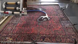 PetPeePee Company-Professional Oriental rug cleaning