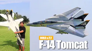 Can DIY F-14 Tomcat Take Off With Swept Back Wings?