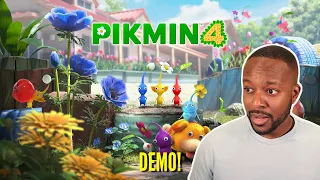 I'm Back! Pikmin 4 Demo!
