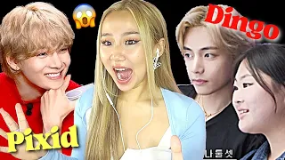 DATING V?! 😱 V on 'DINGO & PIXID' #V  | REACTION/REVIEW