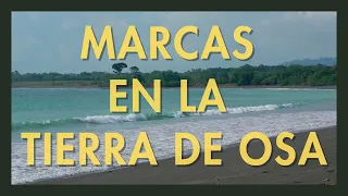 MARCAS EN LA TIERRA DE OSA (2023) Documental. Puerto Jiménez. Península de Osa. Costa Rica.