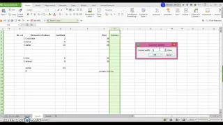 10   Excel Inserarea de rânduri coloane; Modificarea dimensiunilor liniilor şi coloanelor