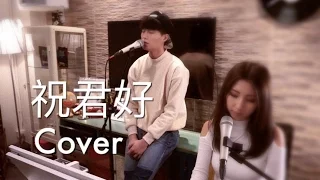 "祝君好-張智霖" 胡鴻鈞 譚嘉儀  COVER