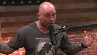 Joe Rogan - Being A Cop Is Nearly Impossible