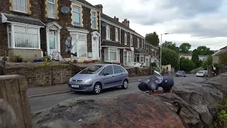 Pigeons of Seaview Terrace