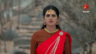 Naga Panchami - Ep 354 | Naga Devatha Commands Nageswari | Telugu Serial | Star MaaSerial | Star Maa