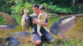 Make super big and giant stream fish traps. Daily life of a single father