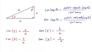 vettori n.14: definizione di seno e coseno di un angolo | fisica