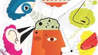 Hacking the Brain: Beyond the Five Senses