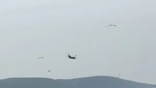 RAF chinook @Weston Airfestival 2019