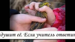 Притча Все в твоих руках .wmv