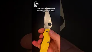 Spyderco UKPK - экспресс обзор складного ножа #нож #knife #spyderco #обзорножа