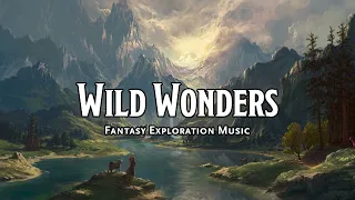 Wild Wonders | D&D/TTRPG Music | 1 Hour