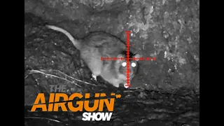 The Airgun Show – action-packed farmyard rat hunting at night, PLUS AirForceOne Econopump on test…