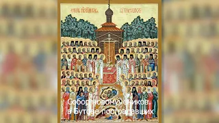 Собор новомучеников, в Бутове пострадавших. Православный календарь 29 мая 2021