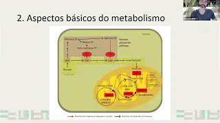 Uso Racional de Tiamina em Terapia Intensiva