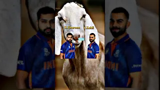 Rohit Sharma vs Virat Kohli T20i Comparison