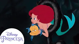 La Sirenita salva a Flounder de un tiburón | Disney Princesa