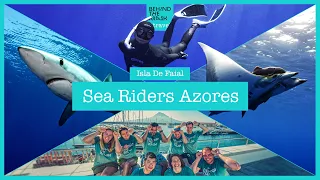 2023 AZORES with BTM Travel & Seariders Divers