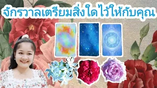 จักรวาลเตรียมสิ่งใดไว้ให้กับคุณ🌹pick a deck&carm🔮⛲🍀🌳💍💕.......