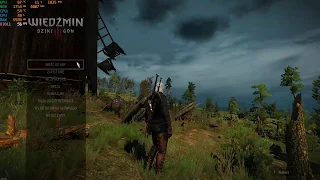 The Witcher 3 - FX-8350 GTX 1060 6GB High Benchmark 1080p