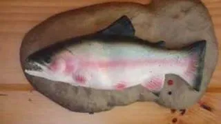 Demon Possessed Singing Trout