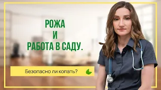 Рожа и работа в саду. Безопасно ли копать?