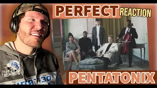 PENTATONIX Perfect REACTION | First time Perfect PENTATONIX Reaction | Their version PERFECT PTX!