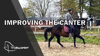 S03E16 Improving The Canter