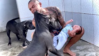 15 Padres Que Salvaron A Sus Hijos De Animales Agresivos