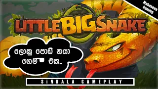 little big snake sinhala game  play #Litile big snake srilankan game play