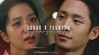 Sooho x Youngro "My Tears Ricochet" || Snowdrop [FMV]