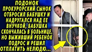 Сын прокурора обидел бабушку и ее внучку, но ребенок подрос и решил отплатить...