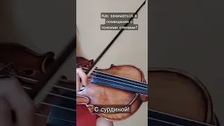 Как заниматься на скрипке ночью?