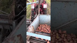 Картопляний комбайн карлік з трактором т 25