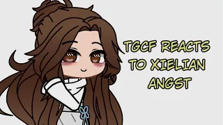 TGCF reacts to Xielian Angst! [Heaven's Official Blessings Reacts] 2/3 (SHORT AGAIN!)