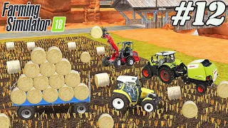 FS 18 COW FARM. Timelapse # 12. Collecting bales. Bale trailer.