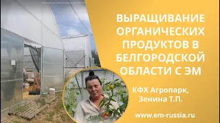 Выращивание органических продуктов в Белгородской области с ЭМ: КФХ Агропарк, Зенина Т.П.