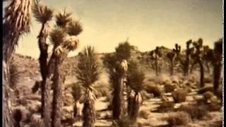 Desert Race 1964 Ron Nelson