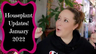 Houseplant Updates!! It's Been A While!! - January 2022