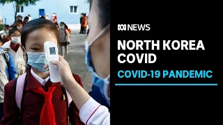 North Korea confirms 21 new deaths as it continues to battle COVID-19 spread | ABC News